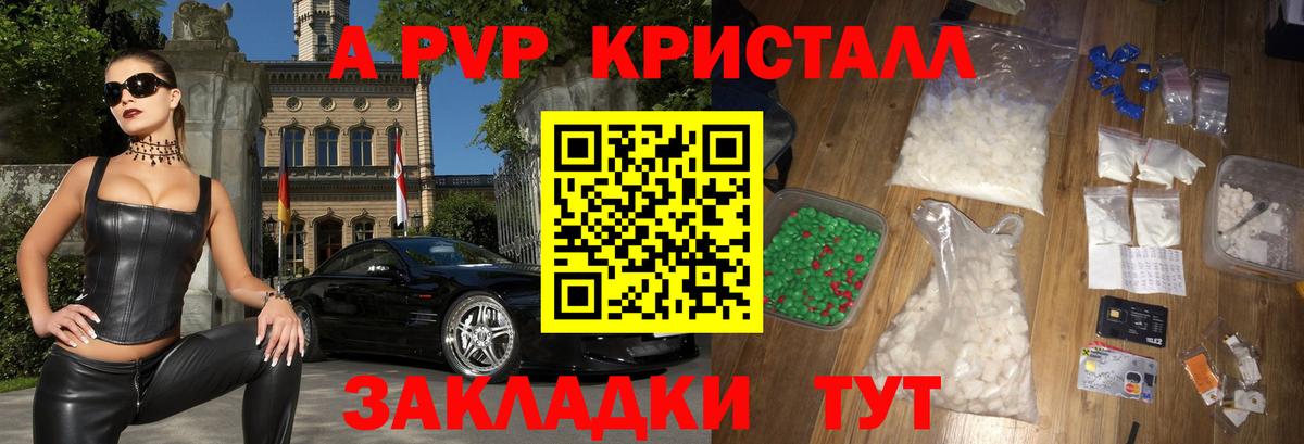 Alfa_PVP СК Владикавказ