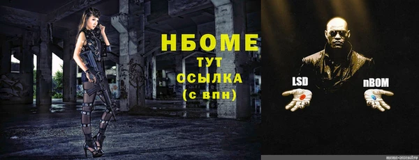 индика Наволоки