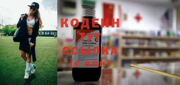 крисы Надым