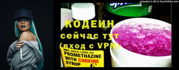 крисы Надым