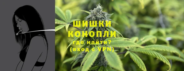 крисы Надым