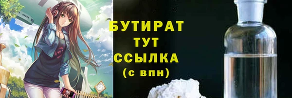 крисы Надым