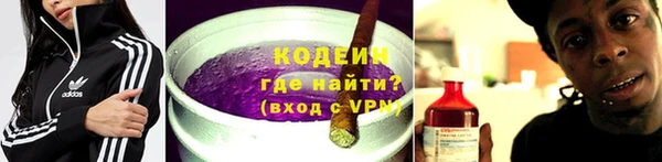 крисы Надым