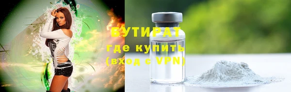 крисы Надым
