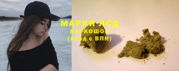 крисы Надым