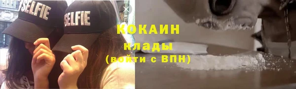 индика Наволоки