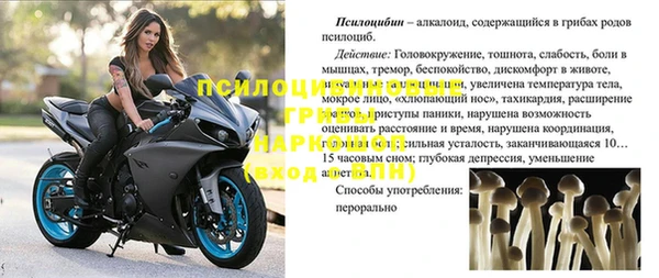 крисы Надым