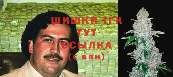 крисы Надым