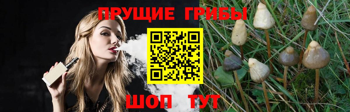 Владикавказ  Псилоцибиновые грибы мухоморы  Вход с VPN 