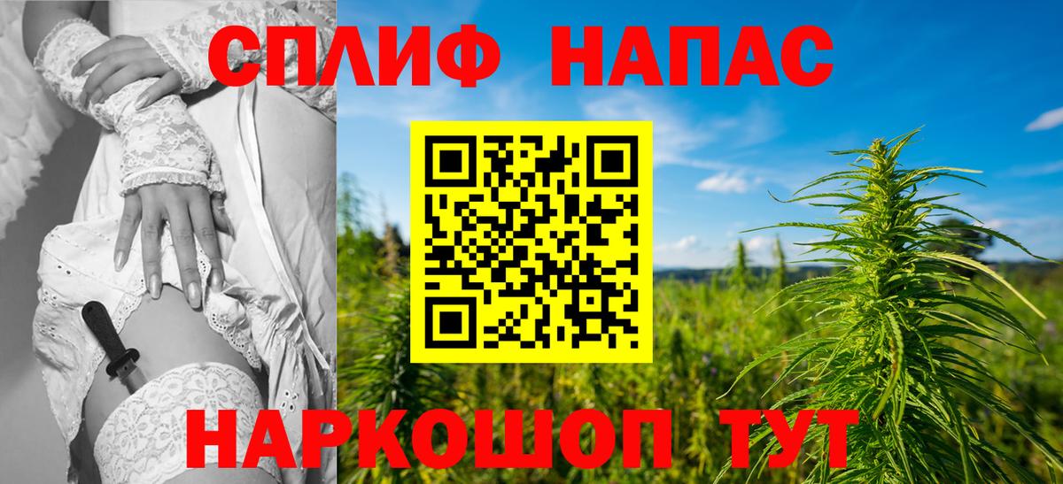 Альфа ПВП Владикавказ